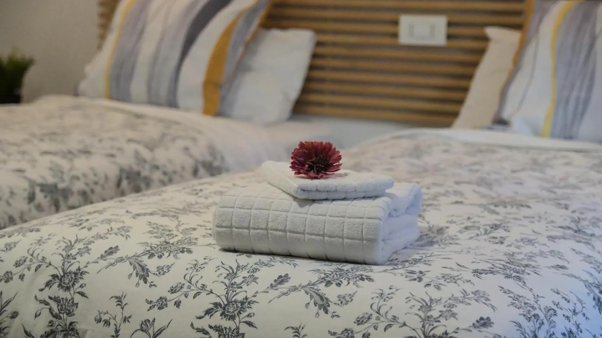 Hotel Giorgia House Pietà Malta